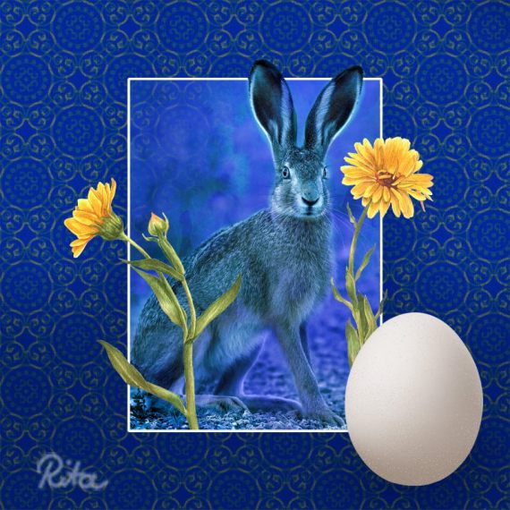 Frohe Ostern von Rita Gil Brand