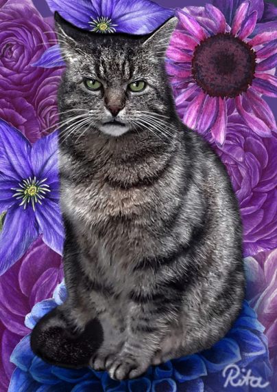 Katzen-Portrait "Mozart"