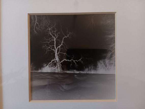 Annegret Müller: Winter