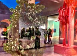 Wolfgang Nebel - Photography - Ausstellung Ausstellung im Schloss Evenburg