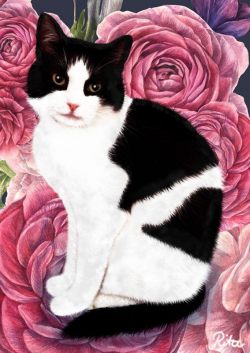 Katzen-Portrait "Marlon"